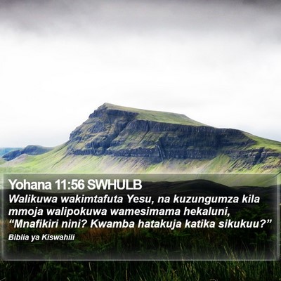 Yohana 11:56 SWHULB Bible Verse Image