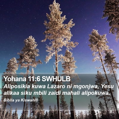 Yohana 11:6 SWHULB Bible Verse Image