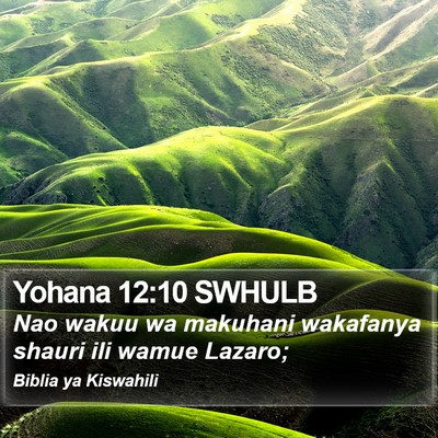 Yohana 12:10 SWHULB Bible Verse Image