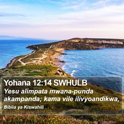 Yohana 12:14 SWHULB Bible Verse Image