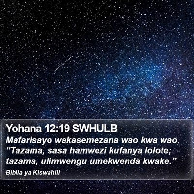 Yohana 12:19 SWHULB Bible Verse Image