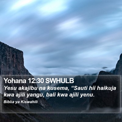 Yohana 12:30 SWHULB Bible Verse Image