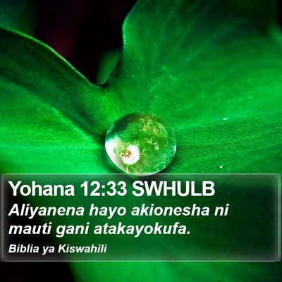 Yohana 12:33 SWHULB Bible Verse Image