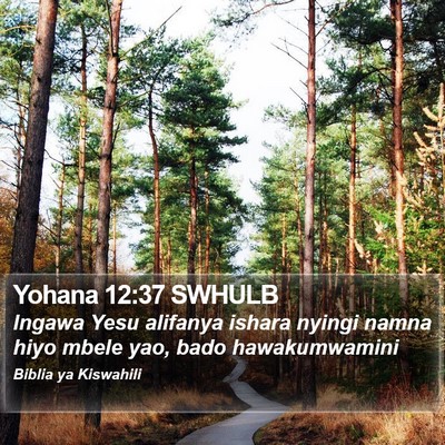 Yohana 12:37 SWHULB Bible Verse Image