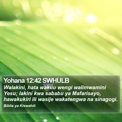 Yohana 12:42 SWHULB Bible Verse Image