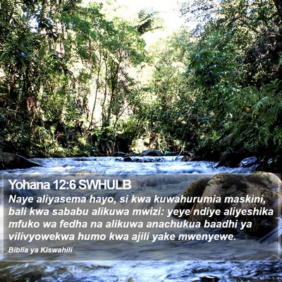 Yohana 12:6 SWHULB Bible Verse Image