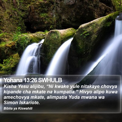 Yohana 13:26 SWHULB Bible Verse Image