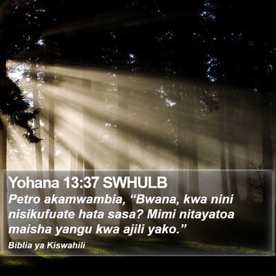 Yohana 13:37 SWHULB Bible Verse Image