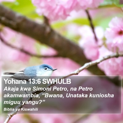 Yohana 13:6 SWHULB Bible Verse Image