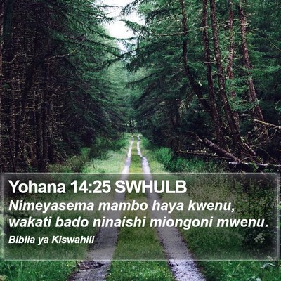 Yohana 14:25 SWHULB Bible Verse Image