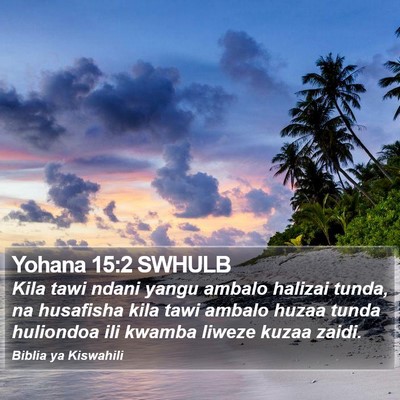 Yohana 15:2 SWHULB Bible Verse Image