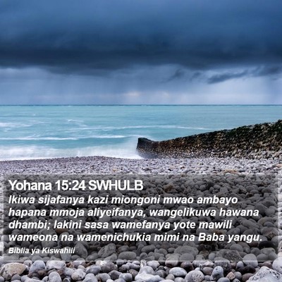 Yohana 15:24 SWHULB Bible Verse Image