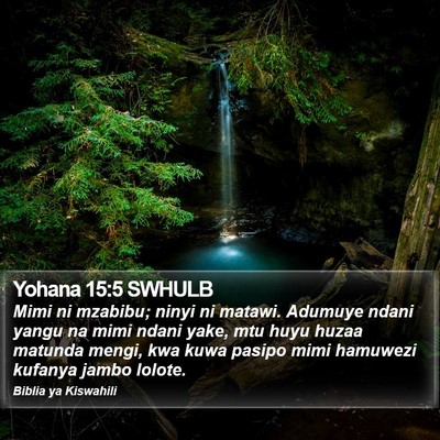 Yohana 15:5 SWHULB Bible Verse Image