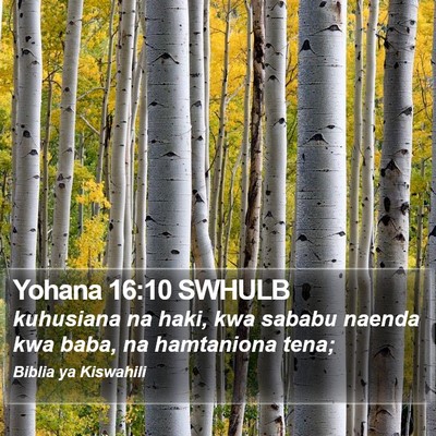 Yohana 16:10 SWHULB Bible Verse Image