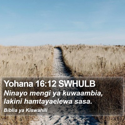 Yohana 16:12 SWHULB Bible Verse Image