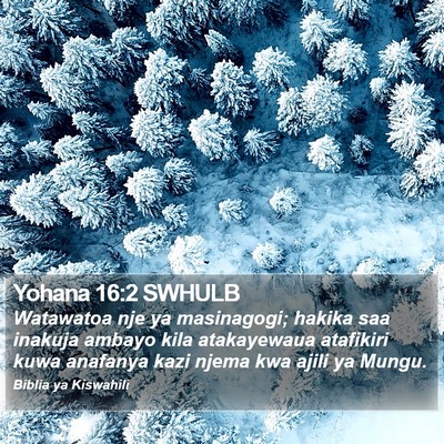 Yohana 16:2 SWHULB Bible Verse Image