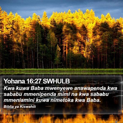 Yohana 16:27 SWHULB Bible Verse Image