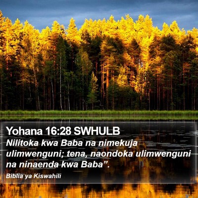 Yohana 16:28 SWHULB Bible Verse Image