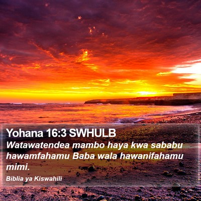 Yohana 16:3 SWHULB Bible Verse Image