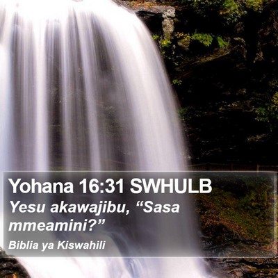 Yohana 16:31 SWHULB Bible Verse Image