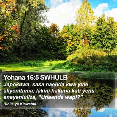 Yohana 16:5 SWHULB Bible Verse Image