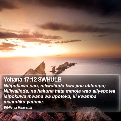 Yohana 17:12 SWHULB Bible Verse Image
