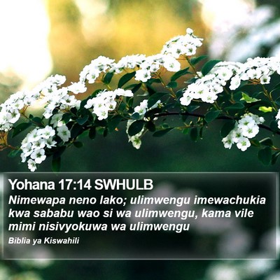 Yohana 17:14 SWHULB Bible Verse Image