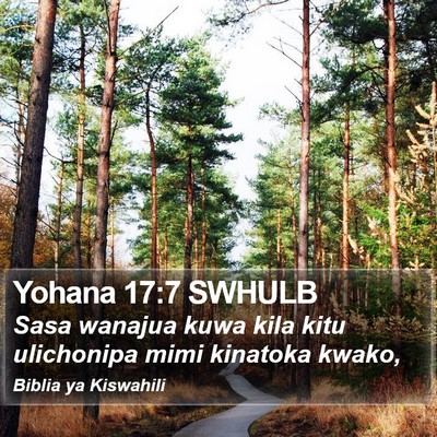 Yohana 17:7 SWHULB Bible Verse Image