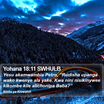 Yohana 18:11 SWHULB Bible Verse Image