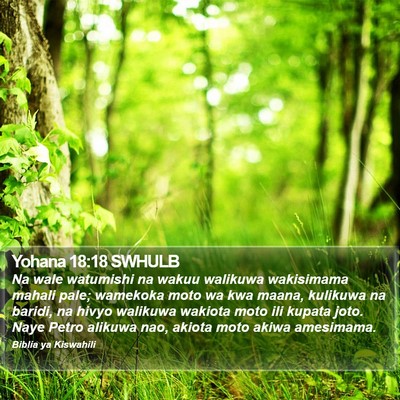 Yohana 18:18 SWHULB Bible Verse Image