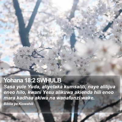 Yohana 18:2 SWHULB Bible Verse Image