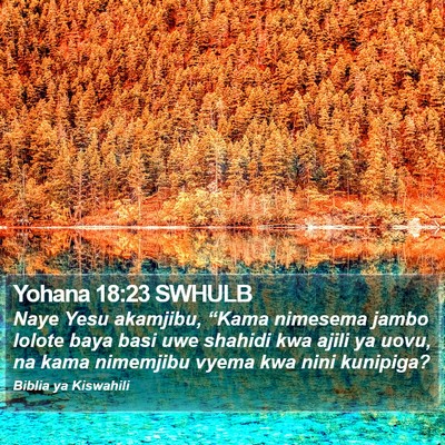 Yohana 18:23 SWHULB Bible Verse Image