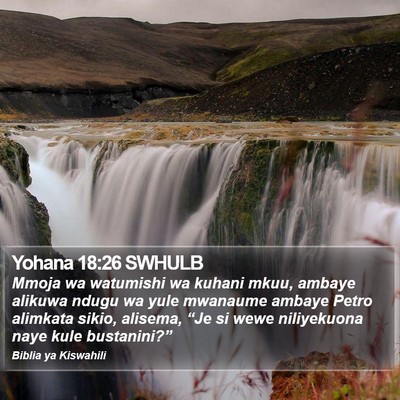 Yohana 18:26 SWHULB Bible Verse Image