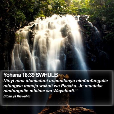 Yohana 18:39 SWHULB Bible Verse Image
