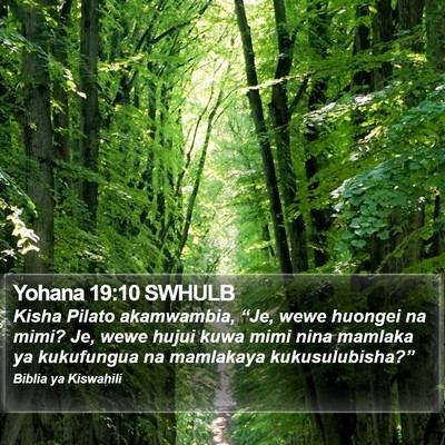 Yohana 19:10 SWHULB Bible Verse Image