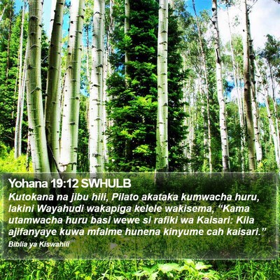 Yohana 19:12 SWHULB Bible Verse Image