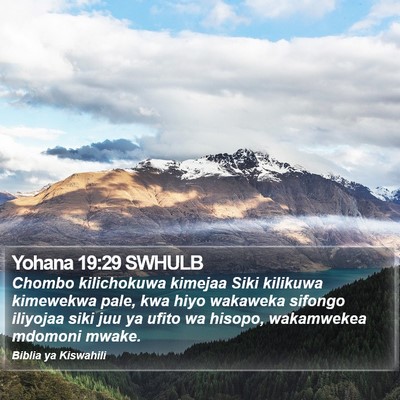 Yohana 19:29 SWHULB Bible Verse Image