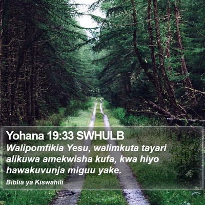 Yohana 19:33 SWHULB Bible Verse Image