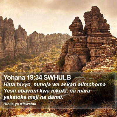 Yohana 19:34 SWHULB Bible Verse Image