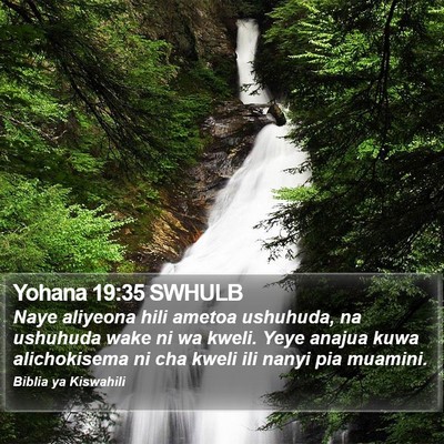 Yohana 19:35 SWHULB Bible Verse Image