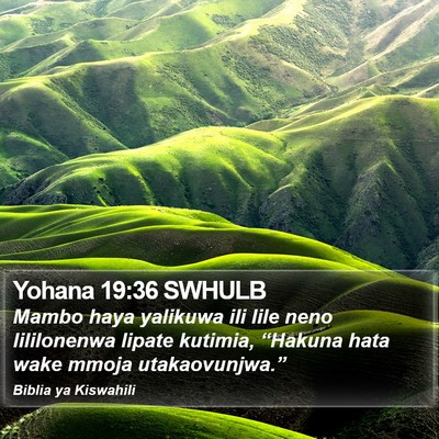 Yohana 19:36 SWHULB Bible Verse Image