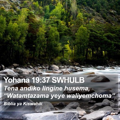Yohana 19:37 SWHULB Bible Verse Image
