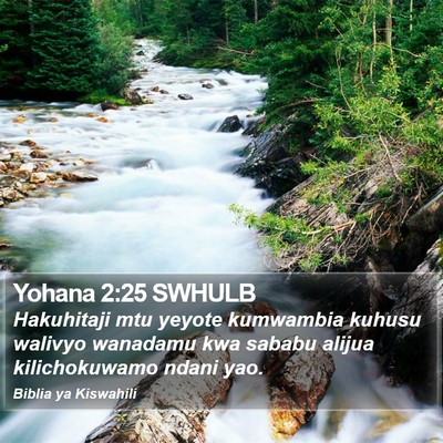 Yohana 2:25 SWHULB Bible Verse Image