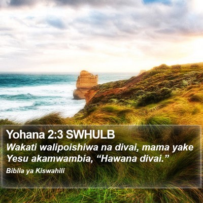 Yohana 2:3 SWHULB Bible Verse Image