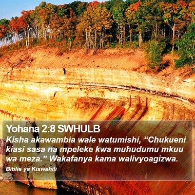 Yohana 2:8 SWHULB Bible Verse Image