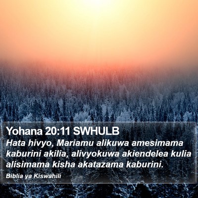 Yohana 20:11 SWHULB Bible Verse Image
