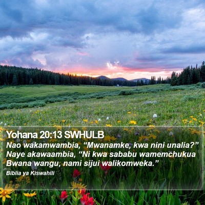 Yohana 20:13 SWHULB Bible Verse Image