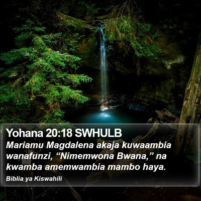 Yohana 20:18 SWHULB Bible Verse Image