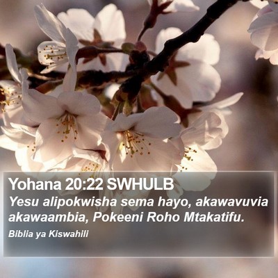 Yohana 20:22 SWHULB Bible Verse Image