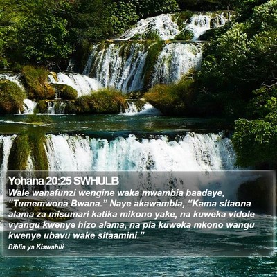 Yohana 20:25 SWHULB Bible Verse Image